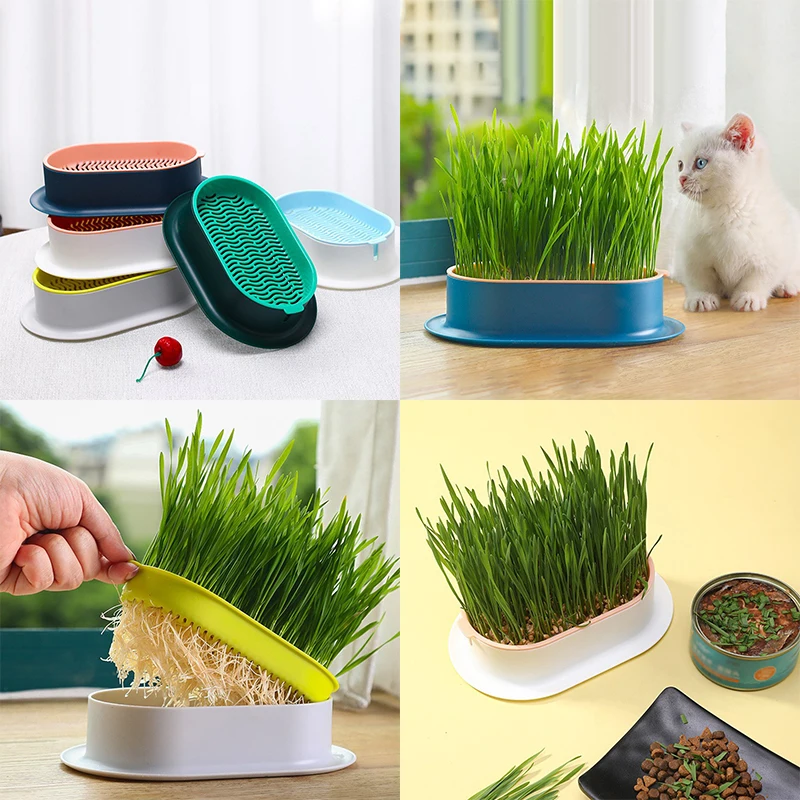 Pet Cat Grass Potted Hydroponic Plant Digestion And Growth Tray, Greenhouse Cleaning Stomach Grass Potted Plant Growth Box