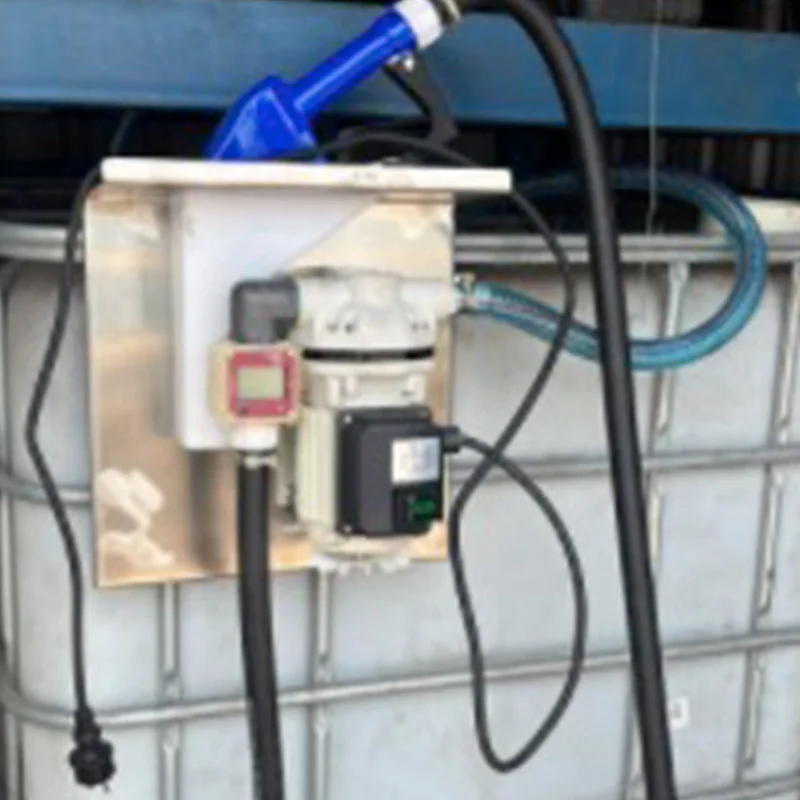 CE Certificate 40L/min Urea AdBlue Transfer Pump Set for Automotive Industry 12V 24V 220V Includes Nozzle Meter Hose OEM