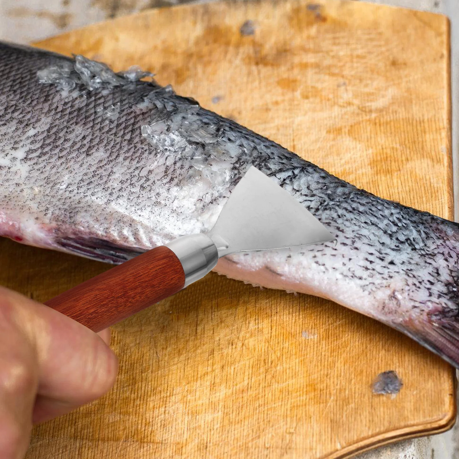 

304 Stainless Steel Fish Scale Remover Fish Scaler Tool Comfortable Grip Sharp Blades Efficient for Seafood Cleaning Home