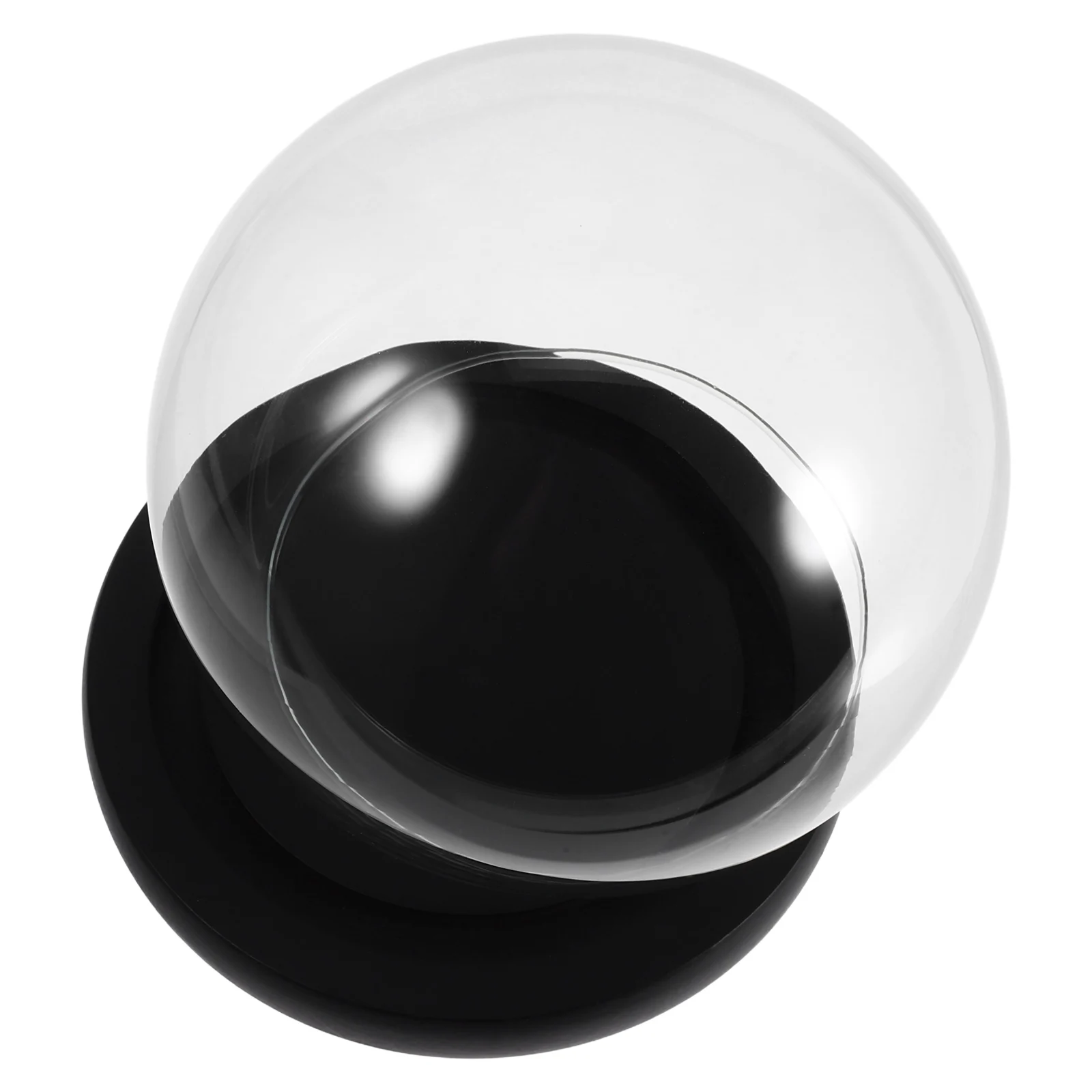 

DIY Glass Cloche Dome with Wooden Base Eternal Flower Display Transparent Round Globe Home Decor Craft Centerpiece for Living