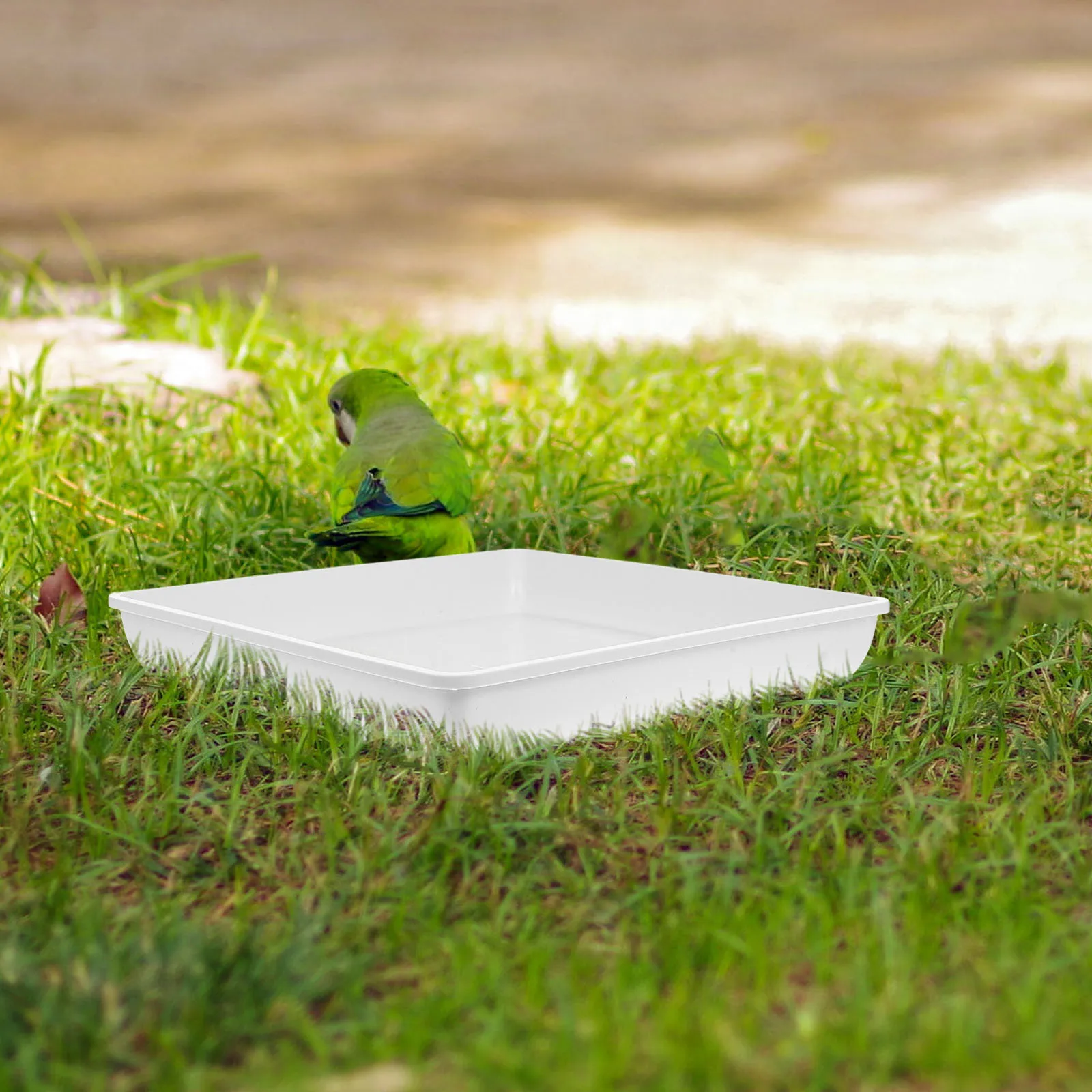 

2pcs Square Bird Feeder Water Bowls Outdoor Hummingbird Dishes Large Capacity Easy Clean Accessories Weather Resistant