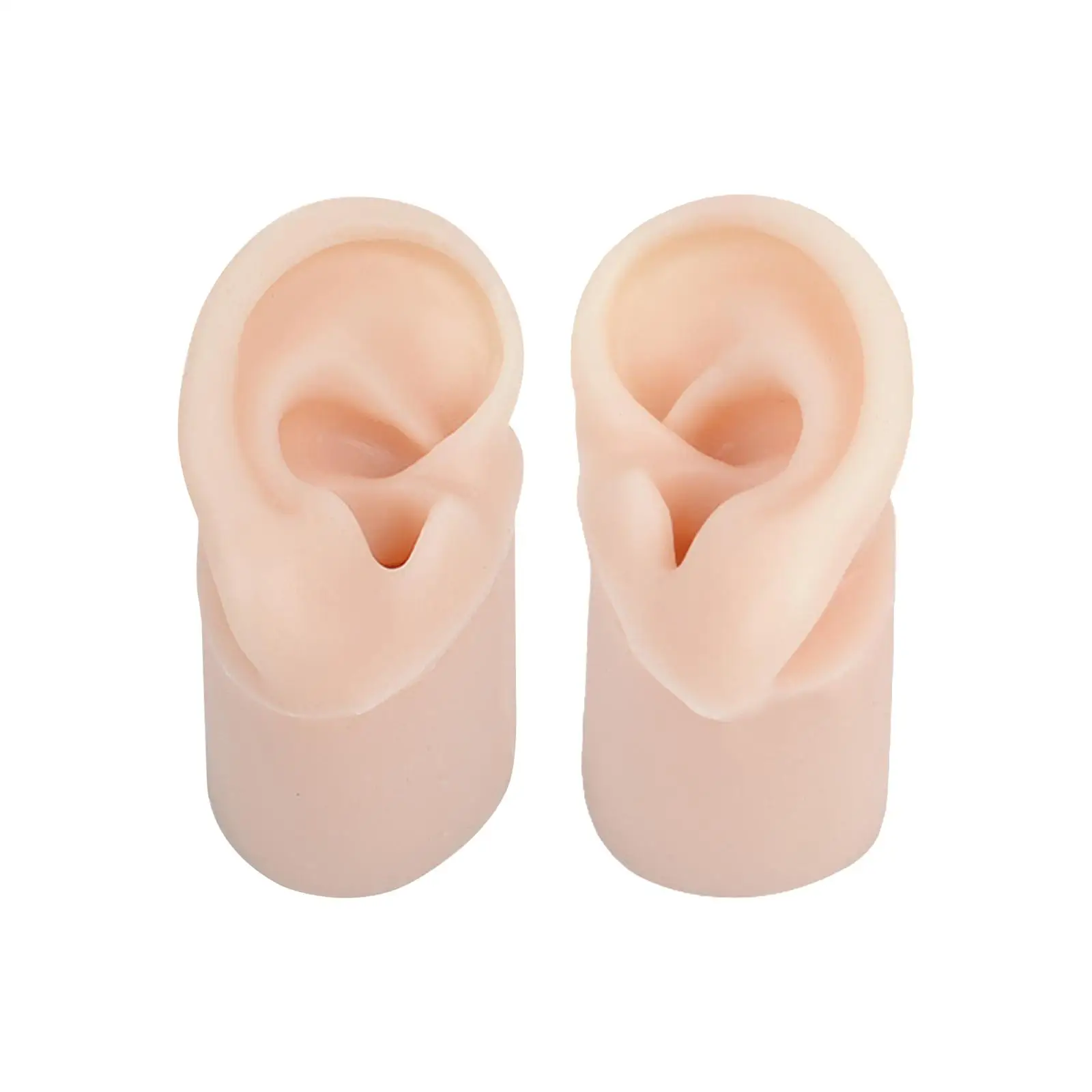 fellaptop Soft Silicone Ear Model Fake Ear learning Tools Delicate Texture