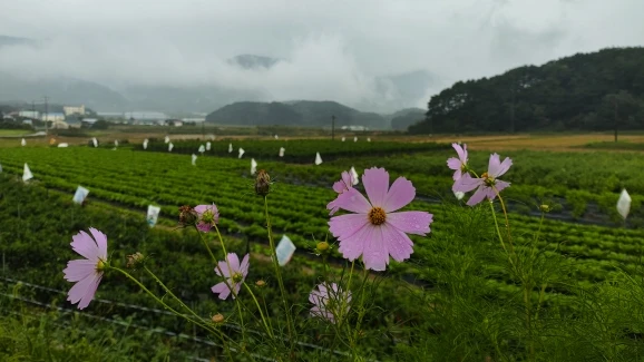 리뷰 사진