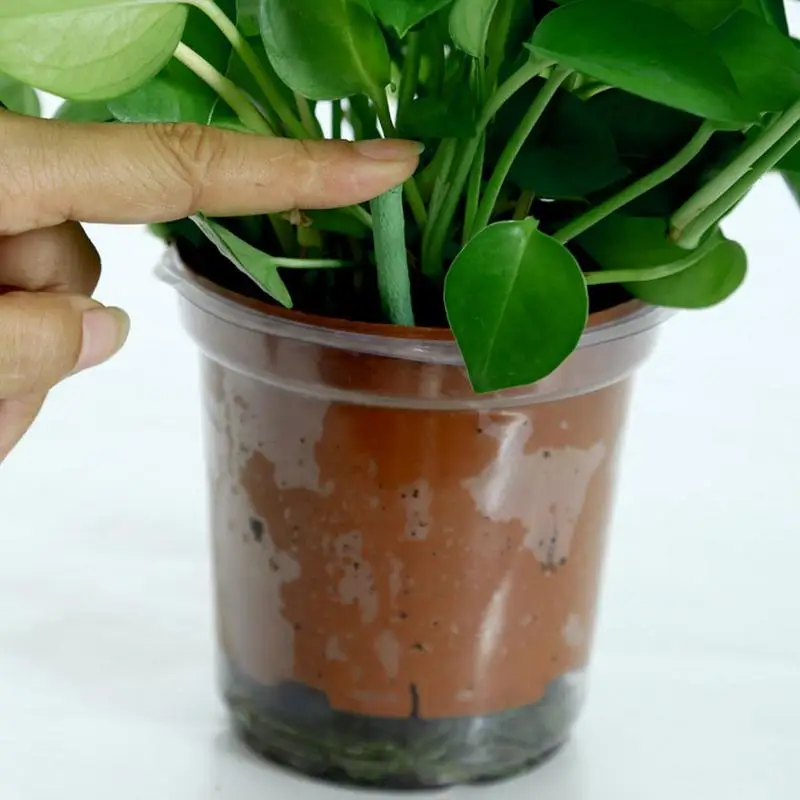 Plant Fertilizer Stick Indoor Potted Flower Nutrient Organic Plant Food Spake Compound Fertilizer Succulent Plant Nutrition Bar