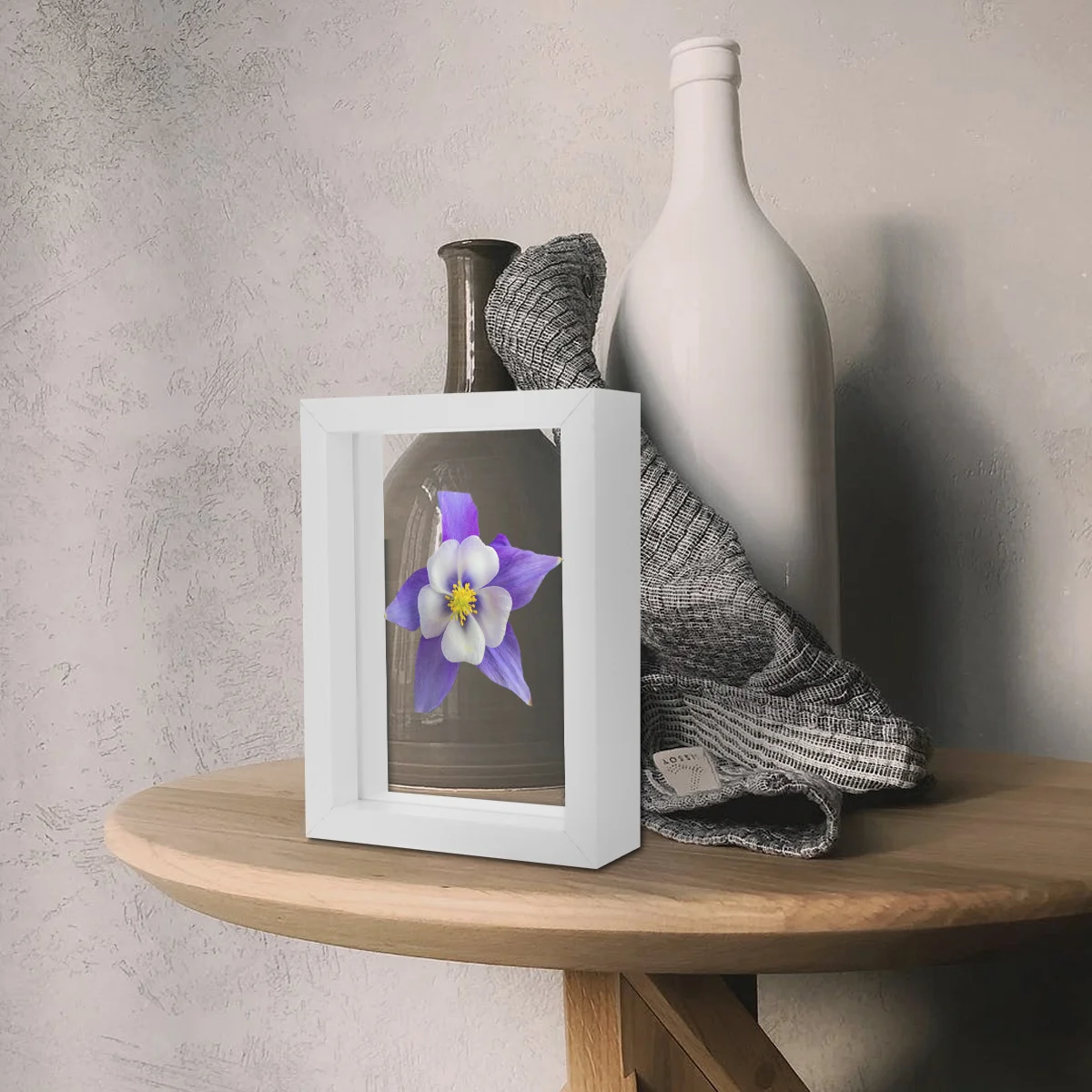 

6 Inch Stereoscopic Glass Photo Frame Double Sided Plant Specimen Display Box For Wall Table Decoration Decor Frame