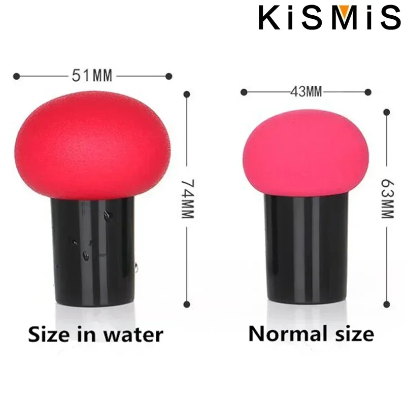 KISMISMakeup Sponge Set Foundation Blend Beauty Sponge with Liquid Cream and Powder Flawless Multi-color Makeup Tools