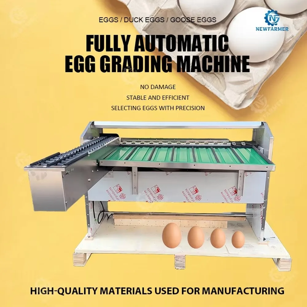Automatic Egg Grading Machine 5 Levels Egg Grader Sorter Dryer Poultry Farm Equipment Egg Packer