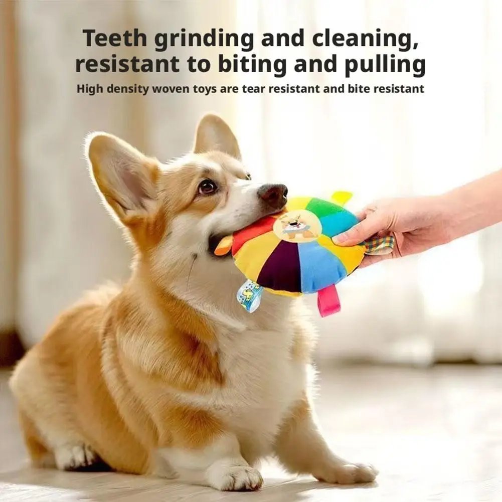 Lustige Regenbogen Plüsch Fliegende Untertasse Hundespielzeug Outdoor Interaktive Trainingsspiele Kauspielzeug Haustiere Fliegende Scheiben Spielzeug Hundezubehör