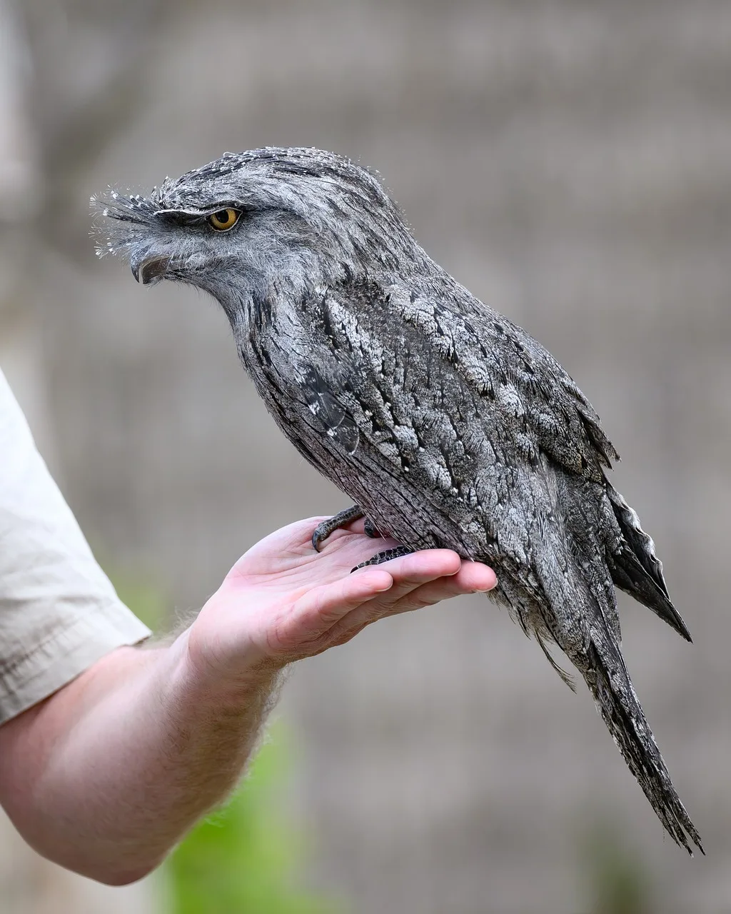 3 قطعة قضيب ربط التوجيه سيرفو قضيب ل Tamiya TT-02 TT-02T TT02 TT02T 1/10 RC ترقية أجزاء السيارة الملحقات #1