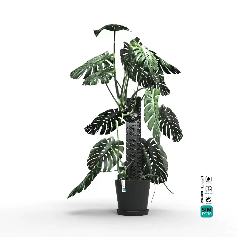 Universe Grocery Store Climbing Hot Plant Turtle Bamboo Planting Set Black Water Moss Column Widening Module