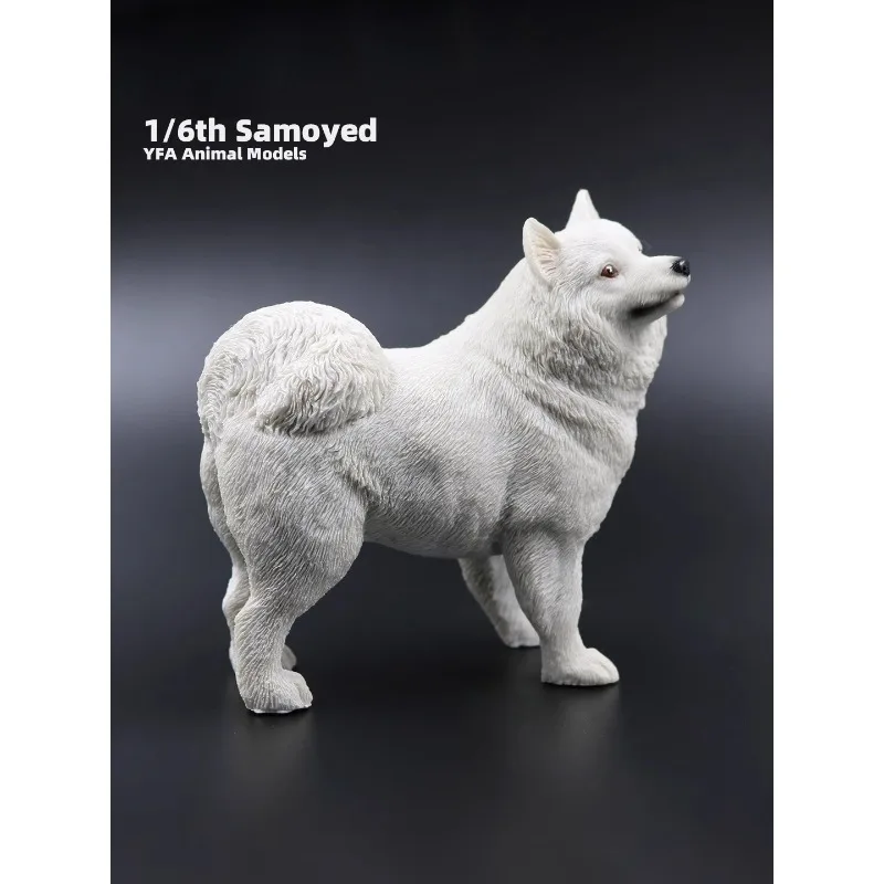 Modello animale simulato cucciolo carino in scala 1/6 Modello di cane bianco regalo per collezione regalo corpo action figure da 12 pollici