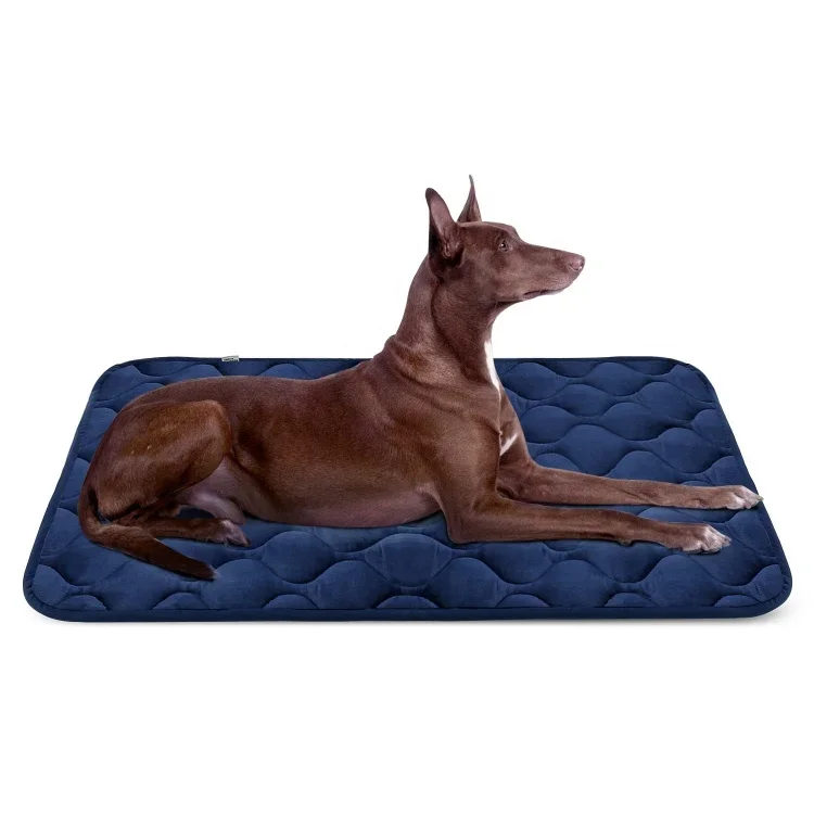 

Dog Bed Mat Washable - Soft Velvet Crate Pad - Anti-slip Mattress for Small Medium Large Pets Products