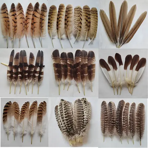 10Pcs/Lot Natural Eagle Feathers for Crafts Plume Headdress Accessories Holiday Decoration Carnival Feather DIY Handicraft Decor