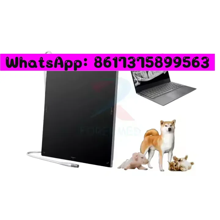 Veterinary Dr Flat …