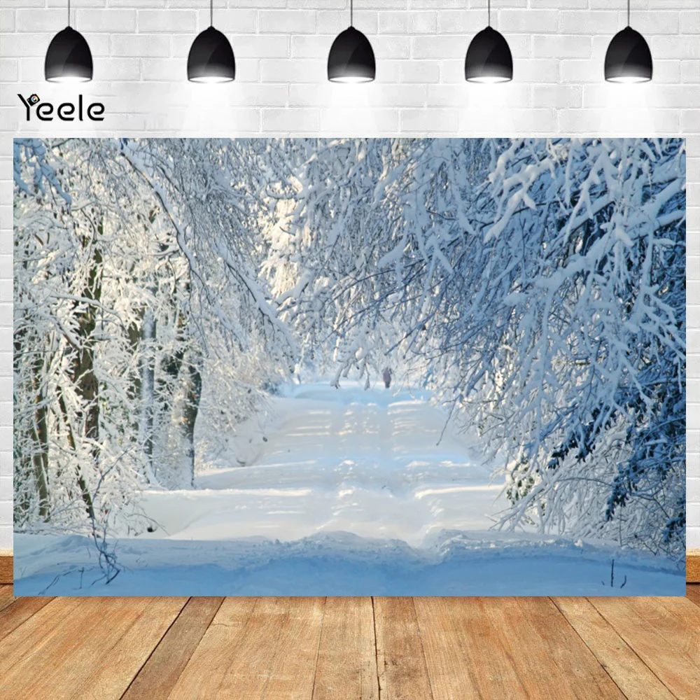 Winter Forest Snowy Background Iced Tree Branches Aurora Glacier Snow-covered Road Backdrop Christmas Decorations Photo Props