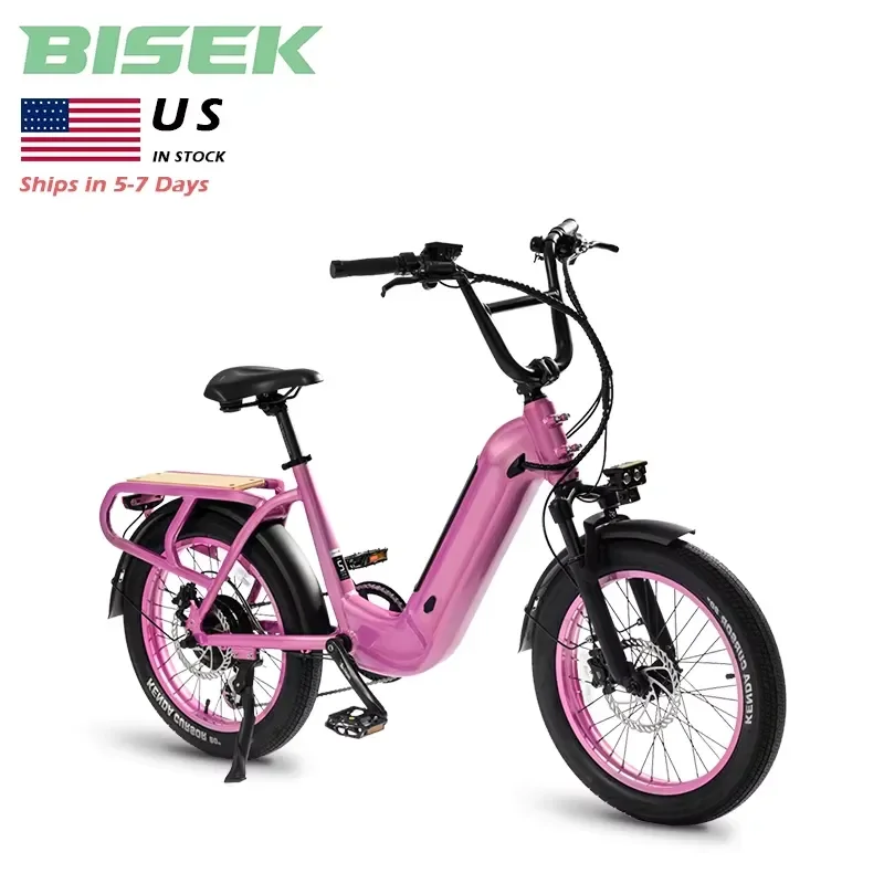 US Warehouse Stock 250w 350w 500w 36v 48v 10AH 15AH Lithium Battery Tire Hub Motor Electric City Bike Cargo Ebike for
