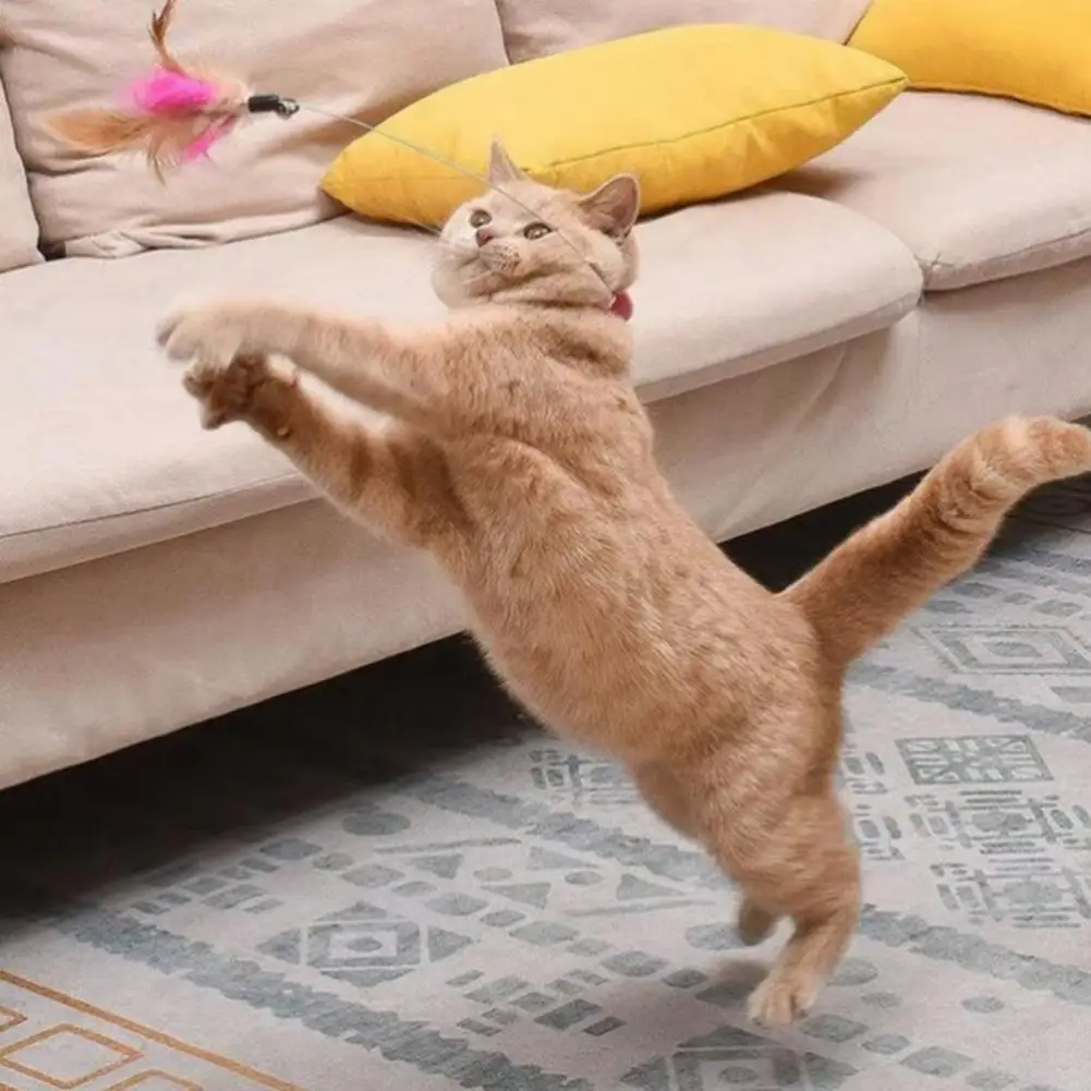 طوق قط تفاعلي لعبة عصا مداعبة بريش ملون وجرس تصميم قابل للتعديل لعبة ذاتية اللعب عصا مداعبة للقطط - 3