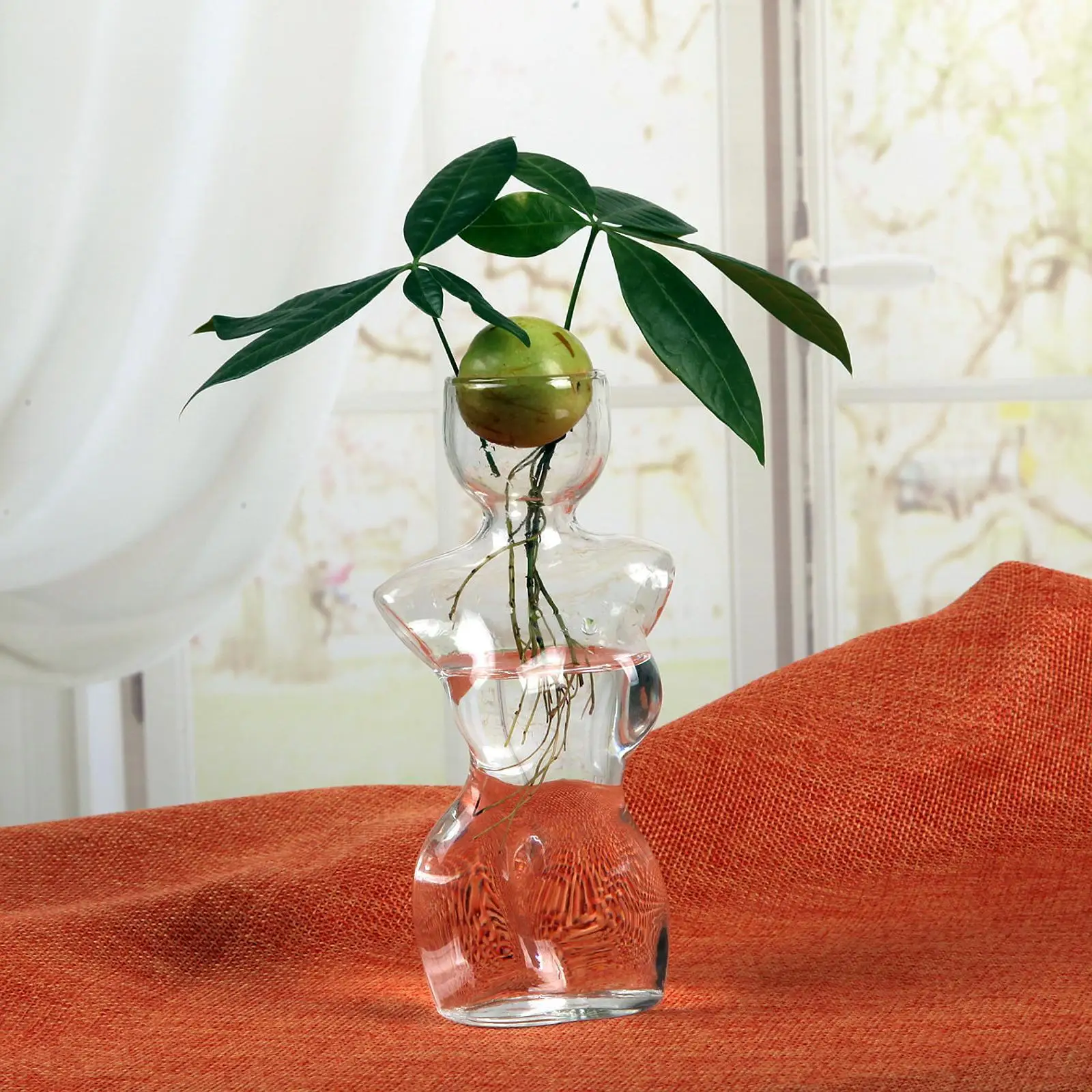 Pequeño florero de inicio de semillas de aguacate, flores, propagación de plantas hidropónicas, centros de mesa de regalo decorativos, maceta de cultivo de árbol de aguacate transparente