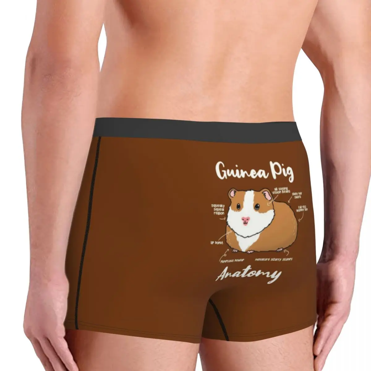 Custom Anatomy Of A Guinea Pig Boxer Shorts For Homme 3D Print Animal Underwear Panties Briefs Stretch Underpants