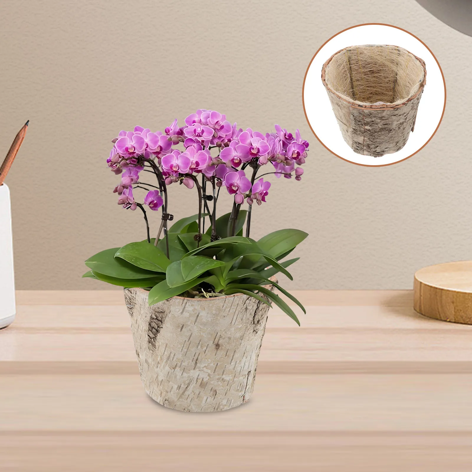 Natural Birch Bark Planter Rustic Vintage Flower Pot for Succulents Cactus Arrangements Home Garden Decor Farmhouse Style Wooden