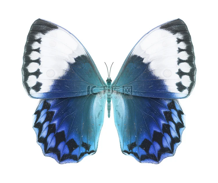 

1:10 Scale Aluminum Alloy Metal Wheel Hub For Crawling Car Easy Control 2.2 Inch Wheel Rim Lock Universal Fit Remote Control Toy