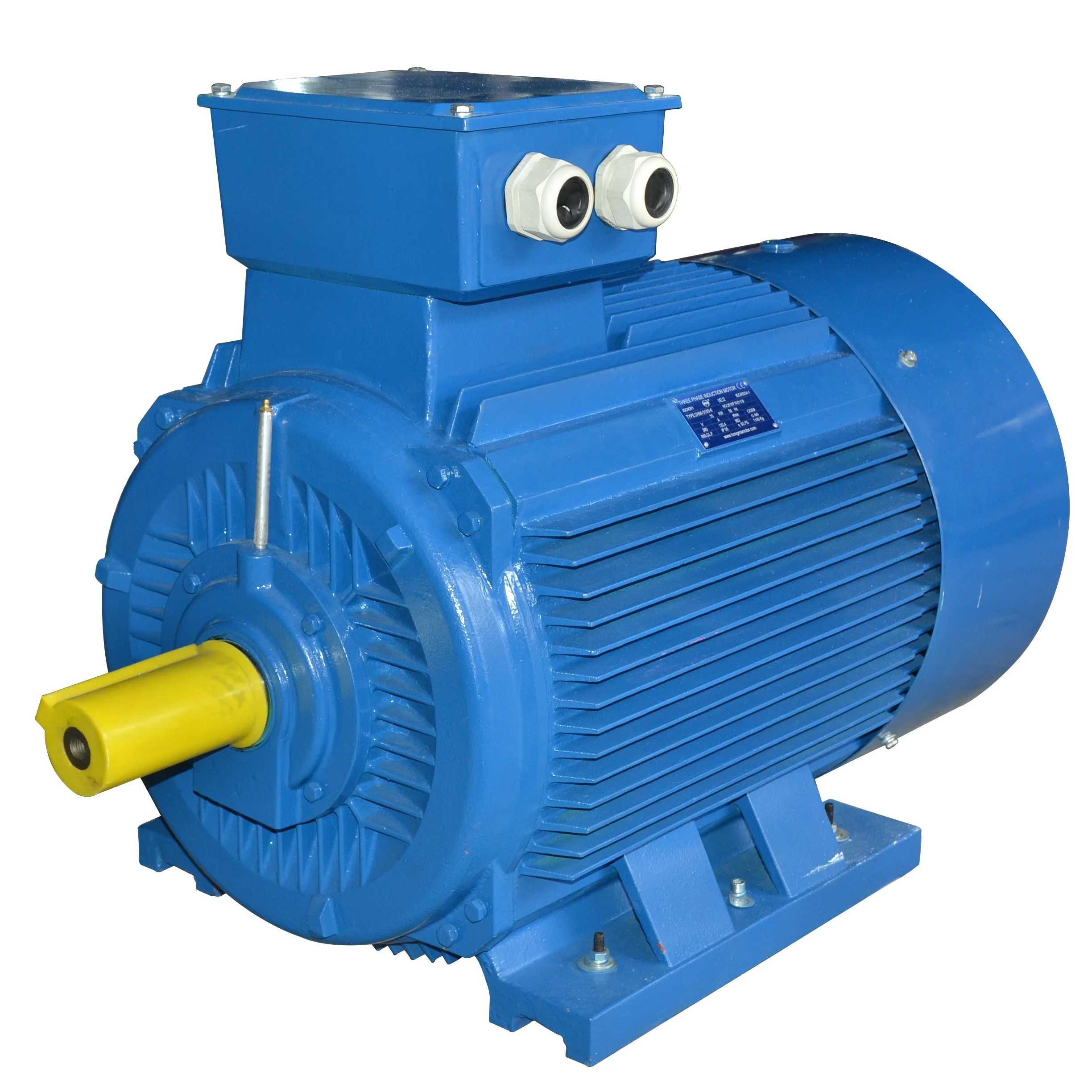 Hot Sale IE3 Series 75KW 100HP Electric 3 Phase Asynchronous Induction AC Motor 2Poles