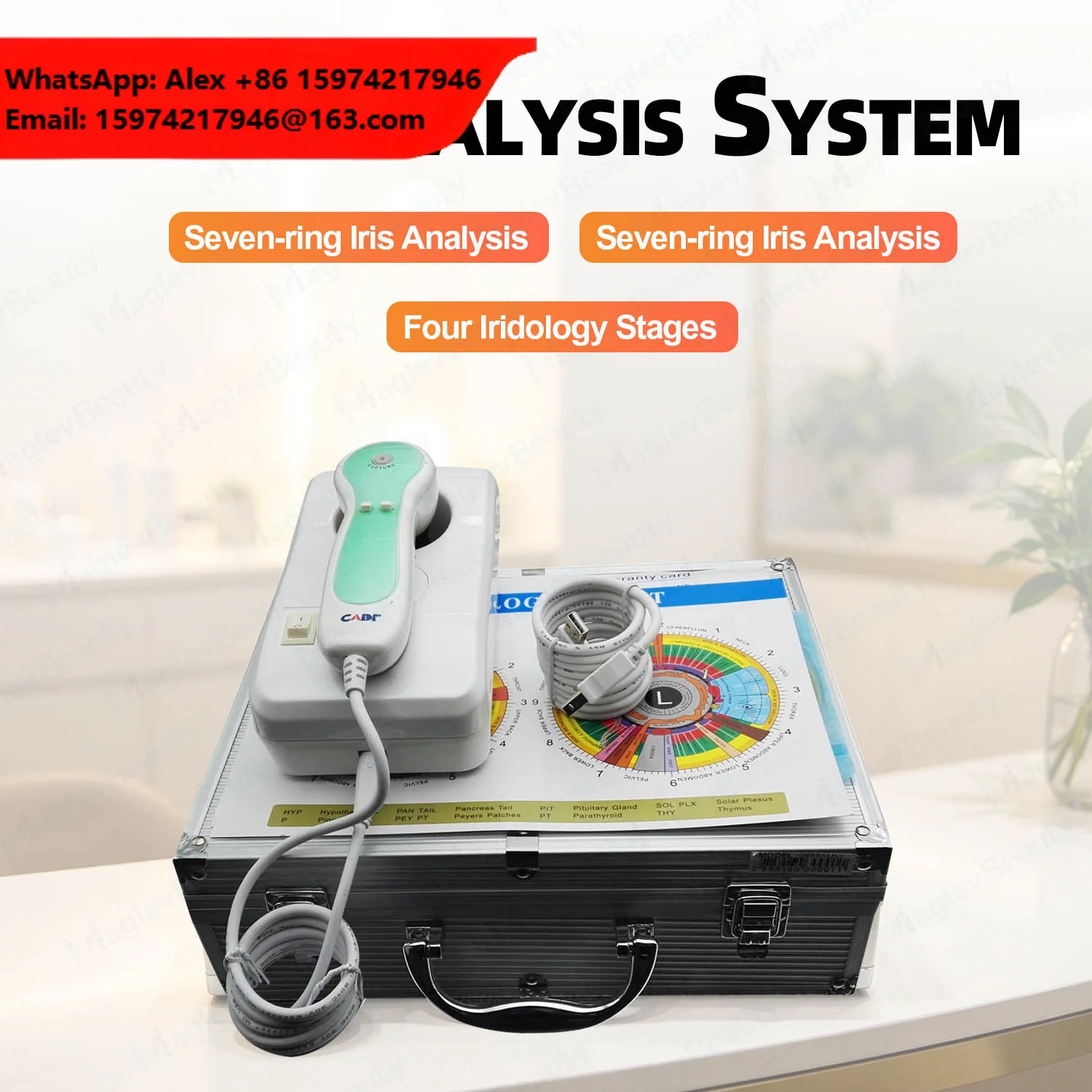 Professional USB Iridology Camera HD CCD/CMOS Sensor Adjustable Focus 3 In 1 Iris Skin Hair Analyzer With LED Analysis Software