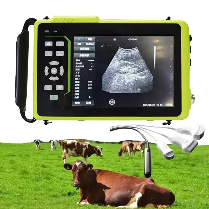 Y6 Waterproof Handheld Ultrasonic Diagnostic Instrument Portable Vet Ultrasound Scanner for Animal