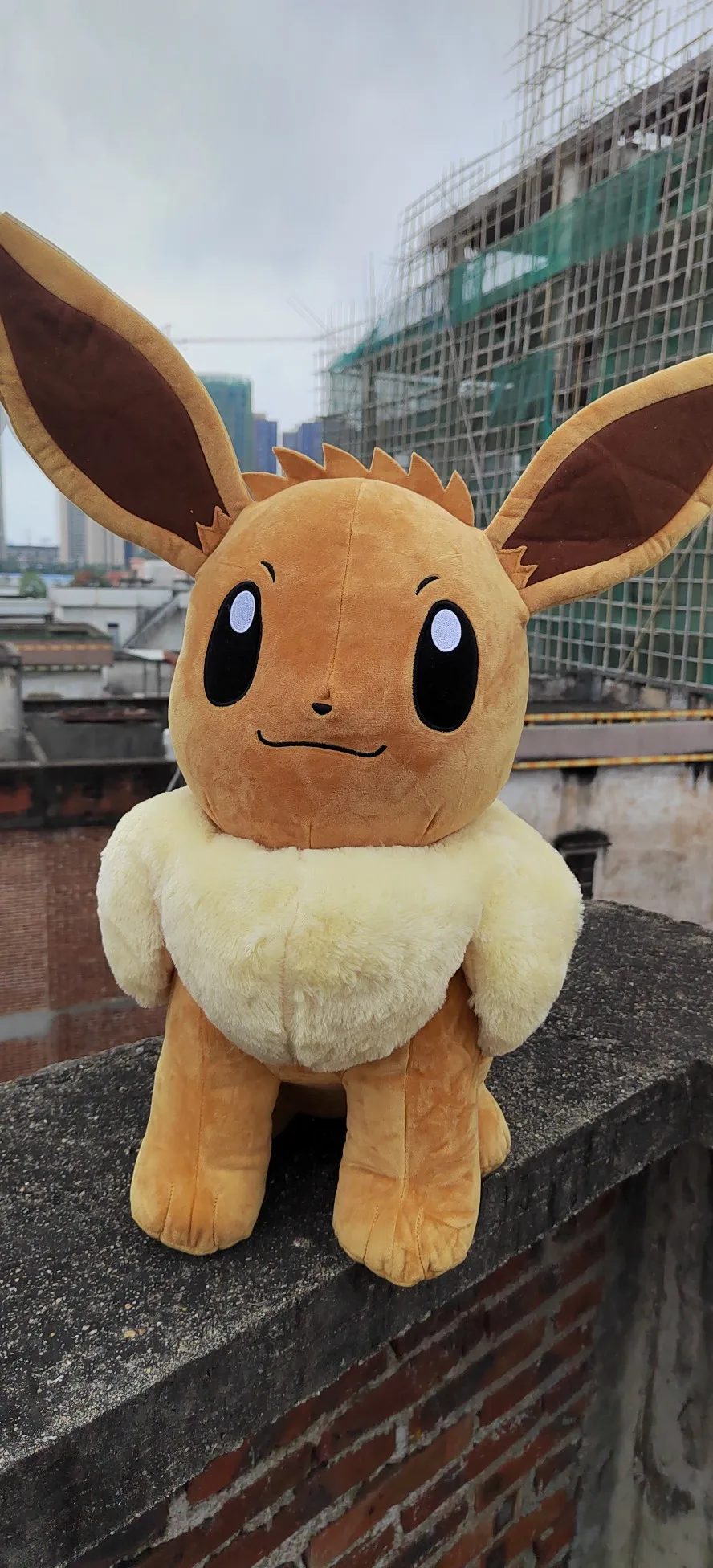 Original Japanese anime Pokemon 60cm  large sitting Eevee Plush toys dolls Children's birthday Presents