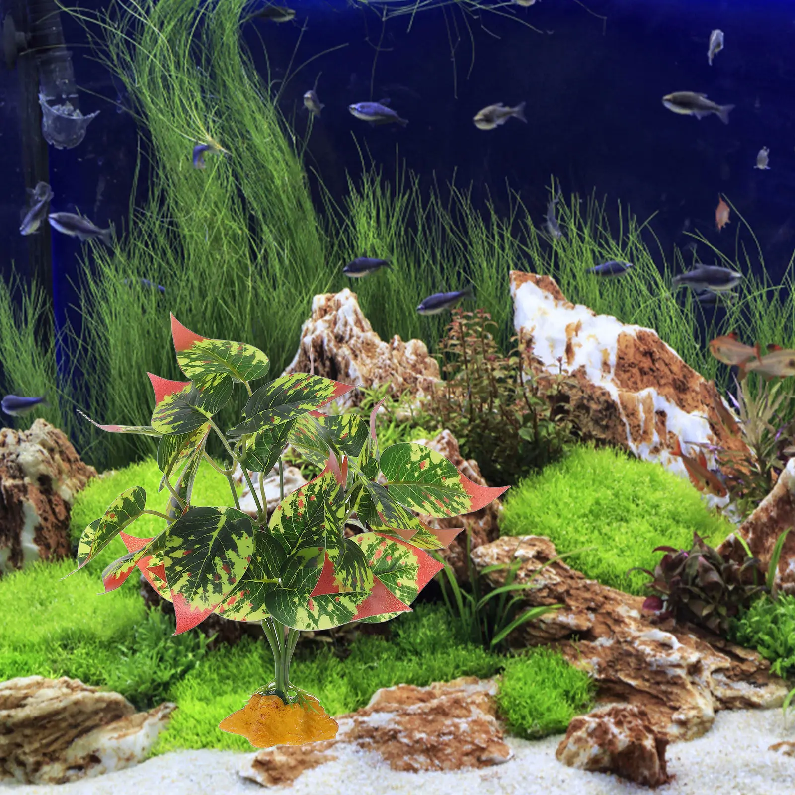 Plantas Artificiales de ABS Re - Aquarium For Planted Tank reseña y precio