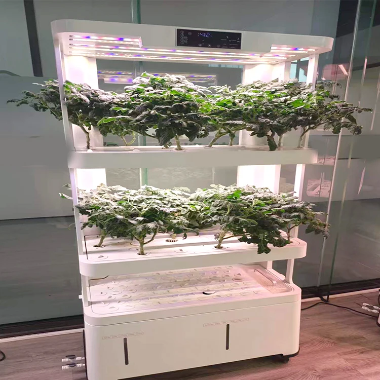 High Quality Smart Raised Vegetable Planter Home Growing Hydroponic System for Cucumbers and Tomatoes
