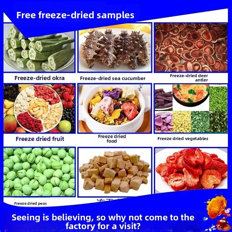Piccolo aspirapolvere completamente automatico per erbe medicinali cinesi, sanguigni, corna di cervo, attrezzature per l'essiccazione a bassa temperatura, frutta e