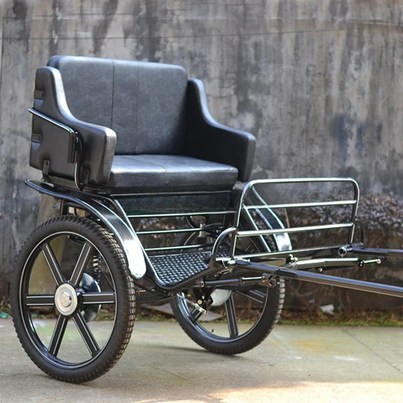 

Luxury two-wheeled marathon carriage