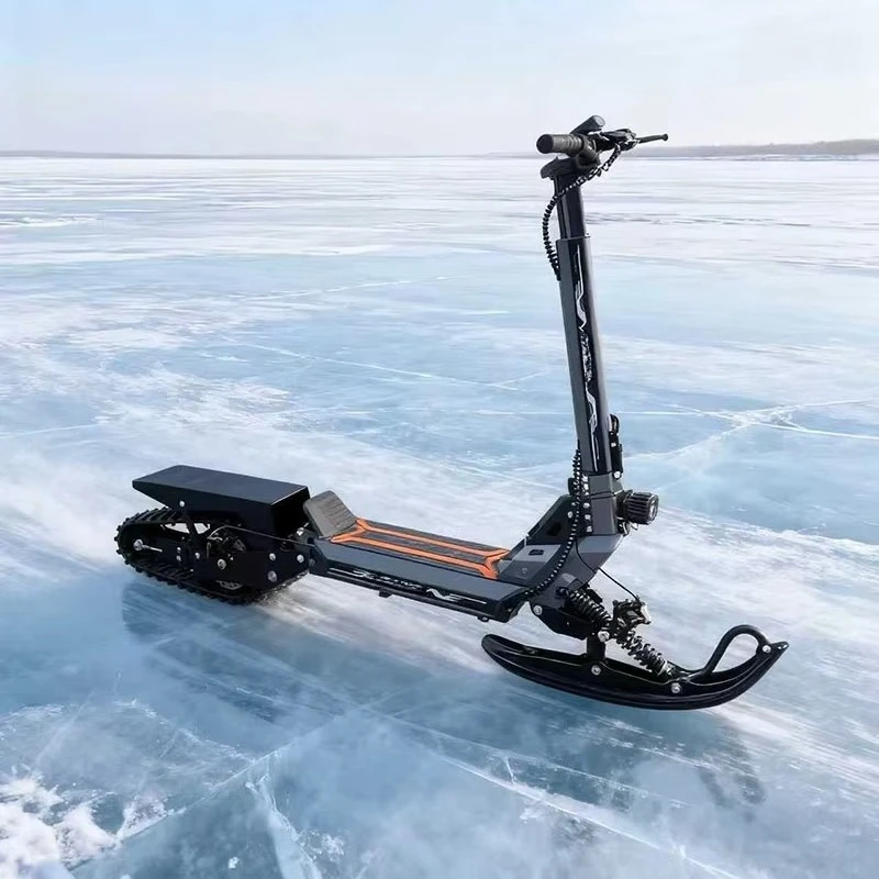 48V Max Speed LCD Display Electric Dual-Purpose Snowmobile with Road & Snow Compatibility 48V Load Capacity