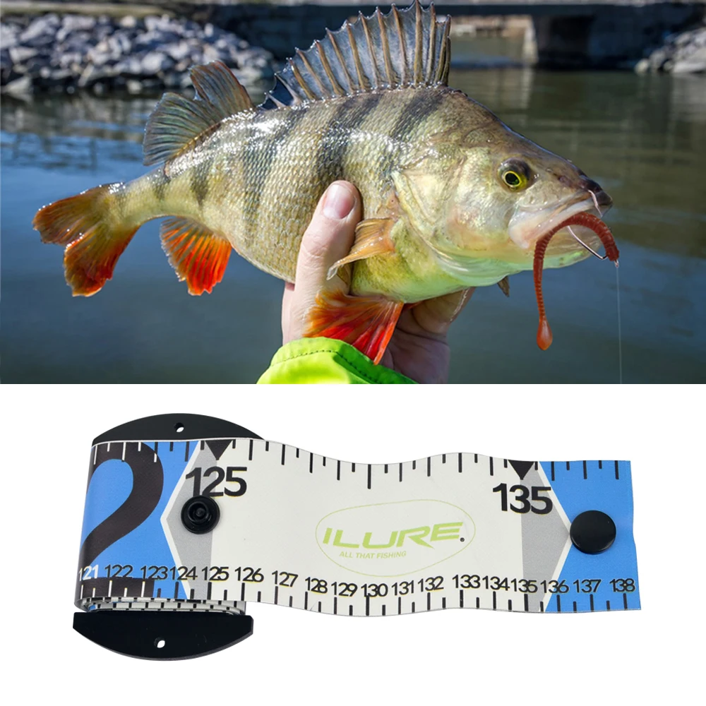 Ailuya حاكم السمك مقاوم للماء مع لوحة قياس حاكم الأسماك اللون قياس 1.35 متر قياس Luya معدات صيد الأسماك الملحقات