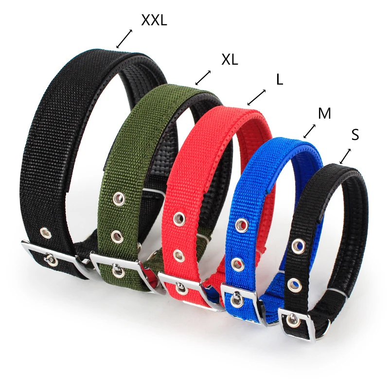 Sólida Nylon Dog Collar, Pequeno Médio e Grande Cães, Teddy, Keji, Pitbull, Buldogue, Beagle