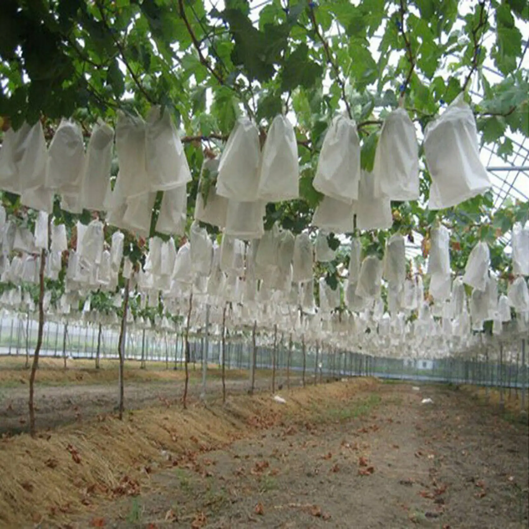 

ABRE-300PCS Garden Plant Fruit Cover Protect Net Mesh Bag Against Insect Bird Pest