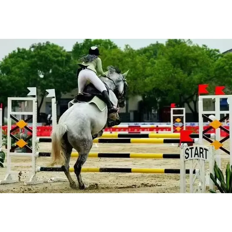 Horse Show Jumps Equestrian Hurdle Equestrian Competition Obstacles Horse Jumping Obstacle