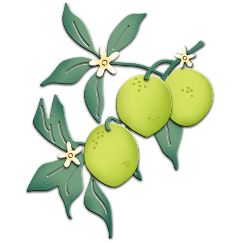 MangoCraft Lemon Lime In The Branch Metal Cutting Dies Embossed DIY Scrapbooking Accessories Cut Dies For Cards Album Decor Gift