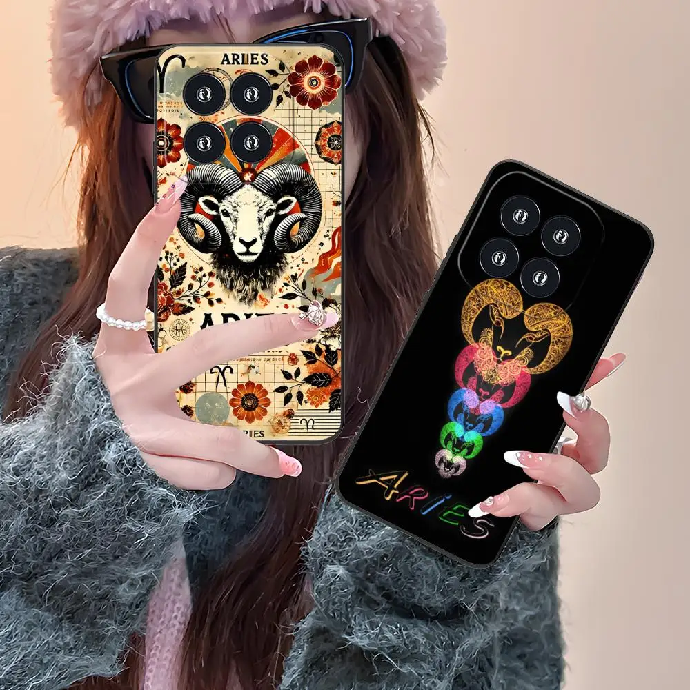 Zodiac Sign Aries M… - image