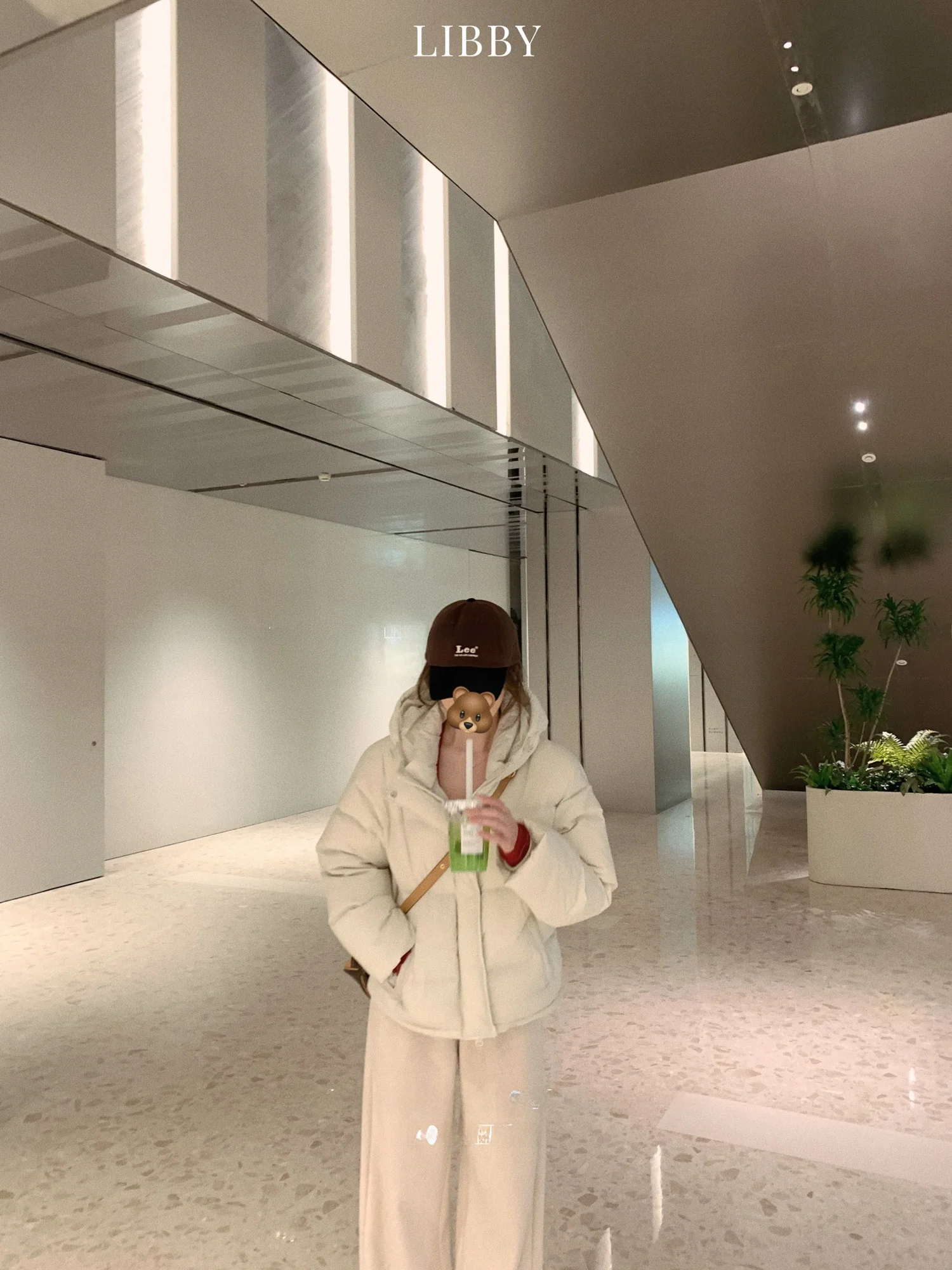 

Новая женская зимняя куртка Libby National Stand 95 из белого пуха, свободного кроя, с капюшоном, теплая, повседневная