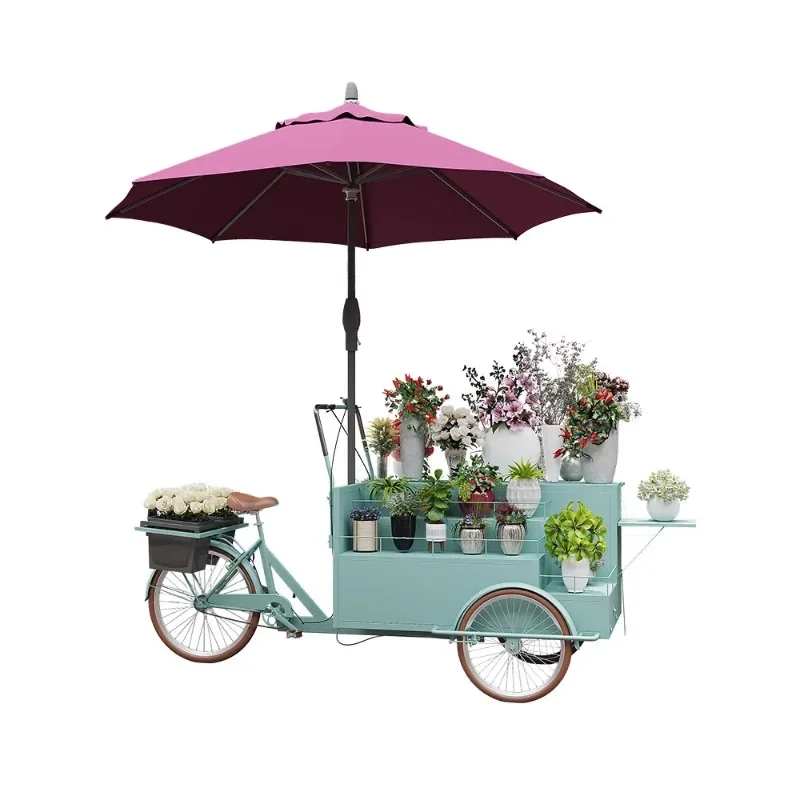 Outdoor Iron Art Float Mall Activity Display Vehicle Market Park Square Multi functional Three wheeled Stall Mobile Cart