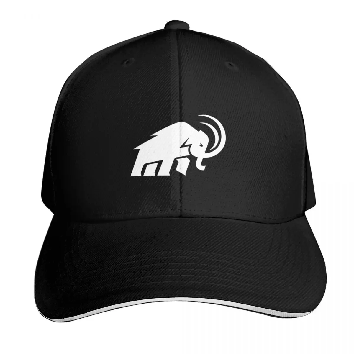 Amherst College Baseball Cap Outdoor Golf Running Hiking Summer Beach Travel Streetwear Hip Hop Trendy