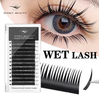 Pestañas postizas tipo cosplay de Manga Wispy con forma de aspecto húmedo, volumen Individual esponjoso de visón, pestañas postizas naturales prefabricadas