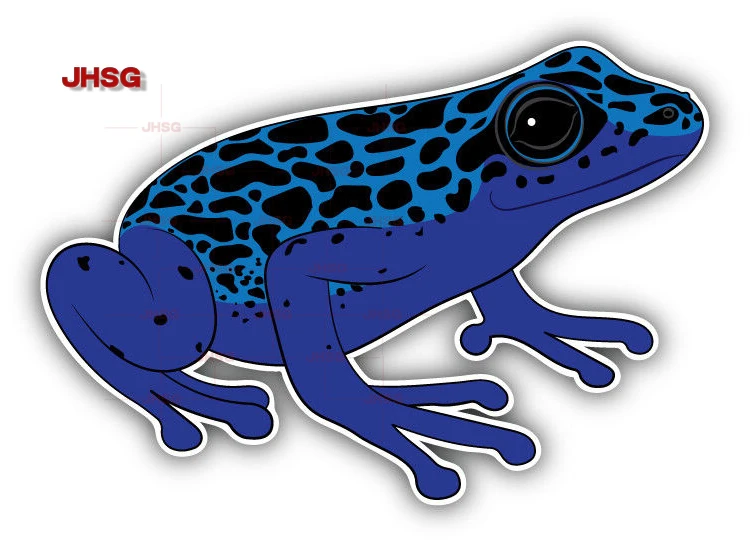 

Poison Dart Frog Car Bumper Stickers - Waterproof Vinyl Stickers