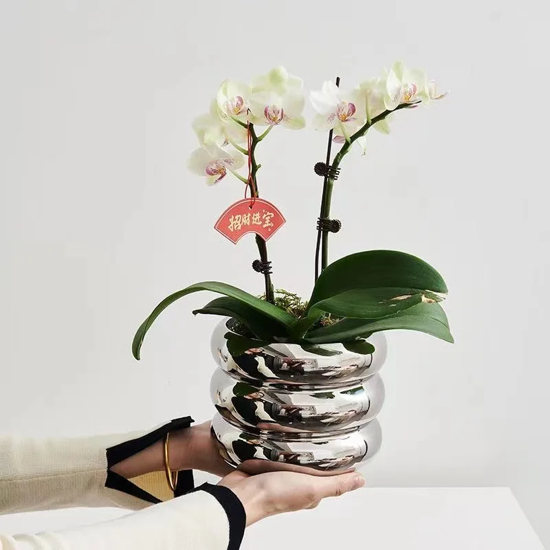

Simple Ceramic Flowerpot Office Desktop Green Plant Flowerpot Wind Silver Small Vase Flower Arrangement Decor Desktop Ornament