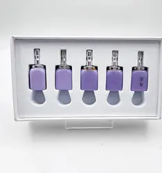 5PCS Lityum Disilikat Cam-Seramik Bloklar Diş Laboratuvarı Bloklarında Sirona Sistemi