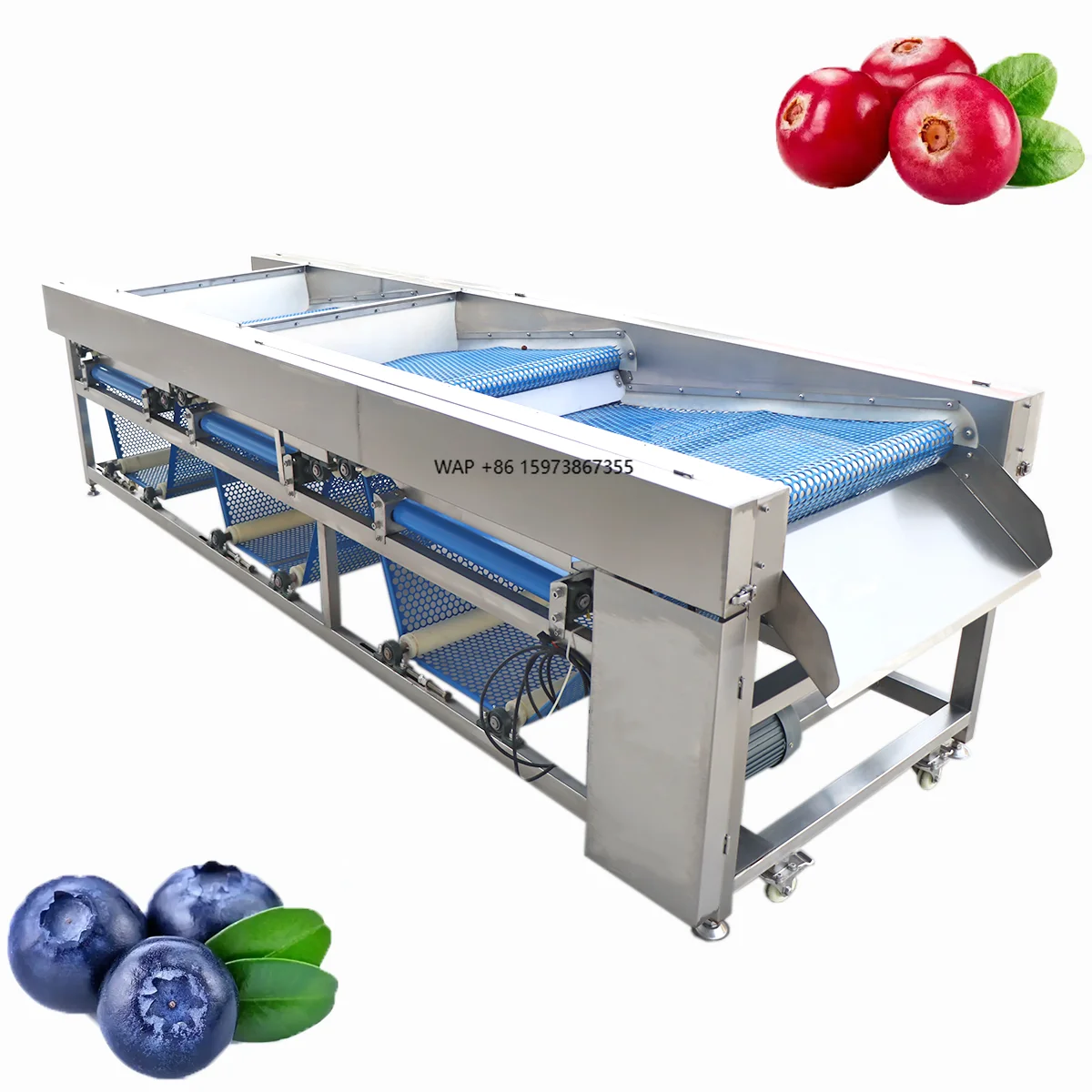 

KEHONG KHFX-PD-3J Blueberry Mushroom Cranberry Size Cherry Apricot Maize Cherry Tomatoes Fruit Banana Vegetables Machine Grades