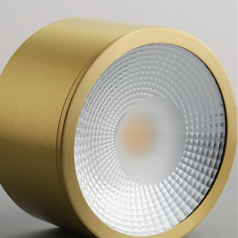 Postmodern Design Luxury Round Surface Mounted Led Ceiling Lamp Ultra-Thin Copper Spotlight Living Room Hallway Corridor Fixture