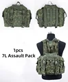 7L bag